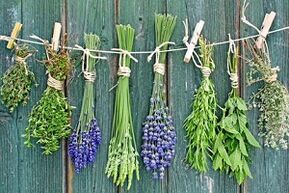 herbs to treat toenail fungus